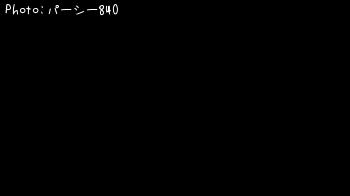 シーバス-2025-5-25 18:40