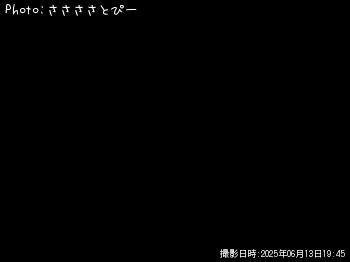 タコ-2025-6-13 19:45