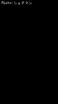 シーバス-2025-6-21 19:50