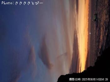 ショゴ-2025-8-14 4:29