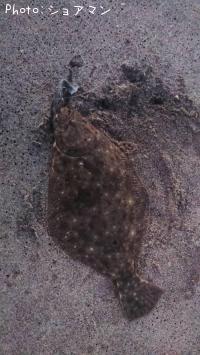 ソゲ-2025-10-29 17:0