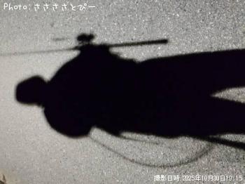 シーバス-2025-10-30 19:15