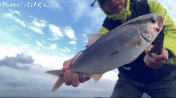 ネイリ-2025-11-2 7:55