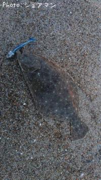 ソゲ-2025-11-5 16:40