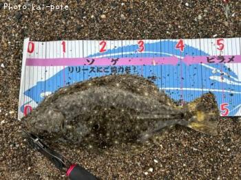 ヒラメ-1970-1-1&nbsp;9:0
