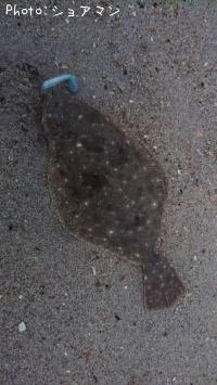 ソゲ-2025-11-15 16:40