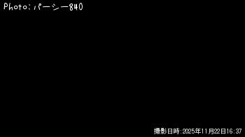 ヒラメ-2025-11-22 16:37