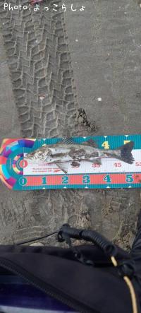 シーバス-2025-11-22 16:25