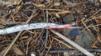 ダツ-2025-12-21&nbsp;9:34