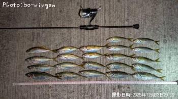 アジ-2025-12-23&nbsp;20:22