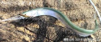 ダツ-2025-12-30&nbsp;14:23