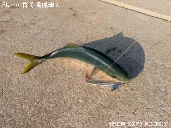 ヤズ-2026-1-5&nbsp;9:1