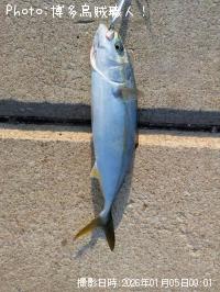 ヤズ-2026-1-5&nbsp;9:1