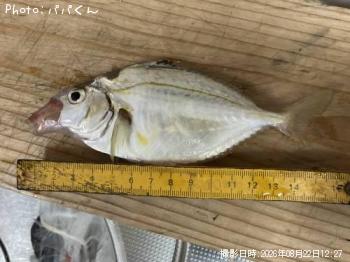 ニロギ
