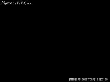 ヤズ