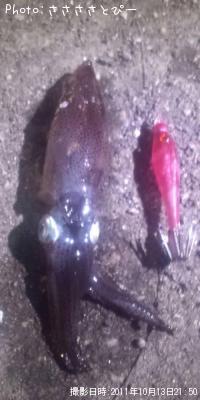 ヒイカ-2011-10-13 21:50