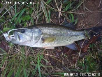 ブラックバス-2012-5-2 7:42