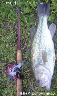 BLACK BASS-2012-5-5 5:26