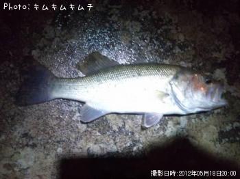 ブラックバス-2012-5-18 20:0