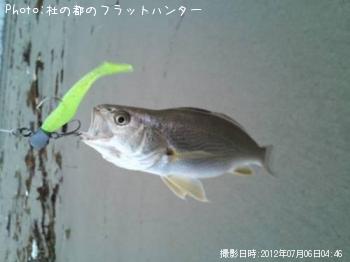 イシモチ-2012-7-6 4:46