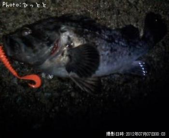 クロソイ-2012-7-7 0:3