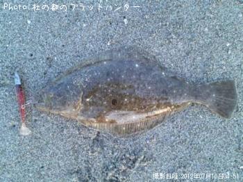 ヒラメ-2012-7-10 4:51