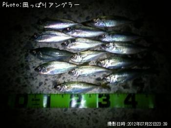 アジ-2012-7-22 23:39