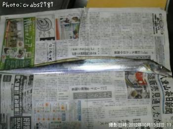 太刀魚-2012-10-15 21:51