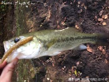 ブラックバス-2012-10-21 14:47