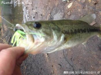 ブラックバス-2012-10-23 15:47