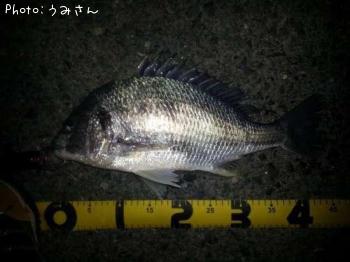 キビレ-2012-11-13 20:28
