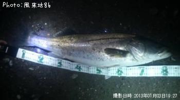 シーバス-2013-1-3 19:27