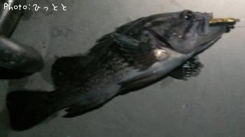 クロソイ-2013-2-14 23:5