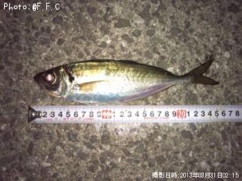 アジ-2013-3-31 2:15
