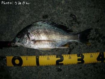 キビレ-2013-5-3 22:28