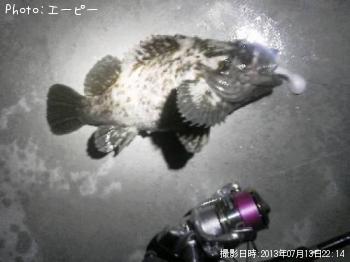 ムラソイ-2013-7-13 22:14
