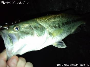 ブラックバス-2013-8-15 19:13