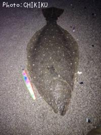 ヒラメ-2013-11-5 5:44