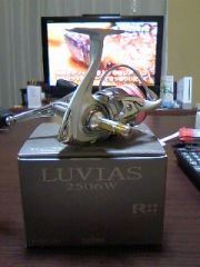 LUVIAS 2506W