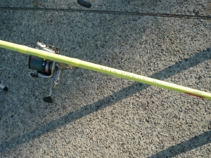スピンパワーS