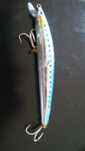 Shore Line Shiner R50