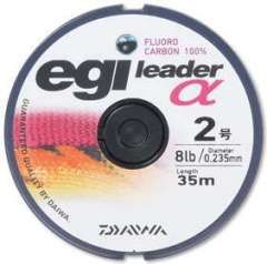 egi leader α 2号