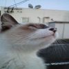 いーすとゆうくん。