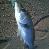 釣りの醍醐味